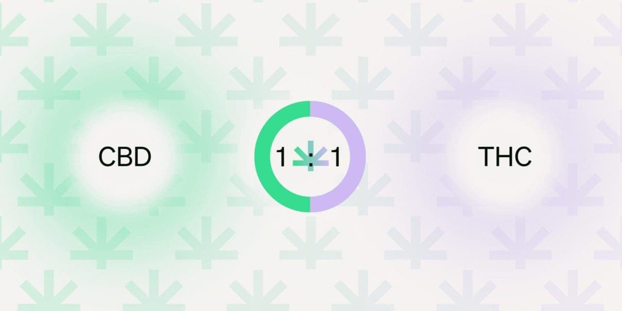 graphics of CBD 1:1 THC