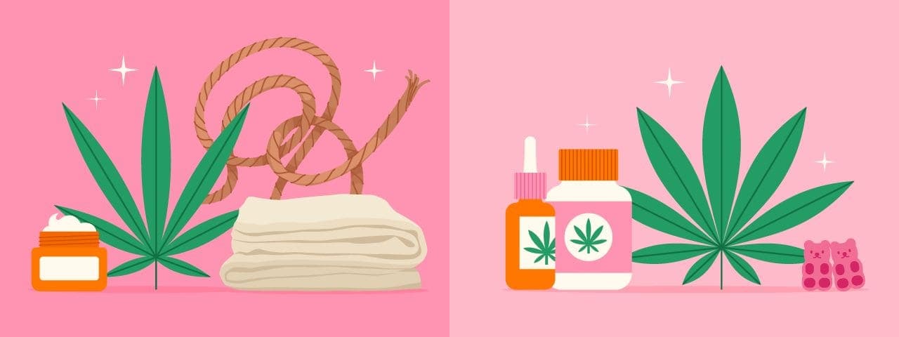 hemp vs marijuana what's the difference?