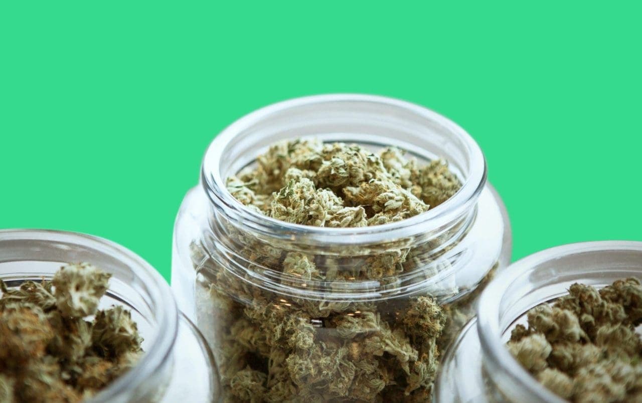 best cannabis strains